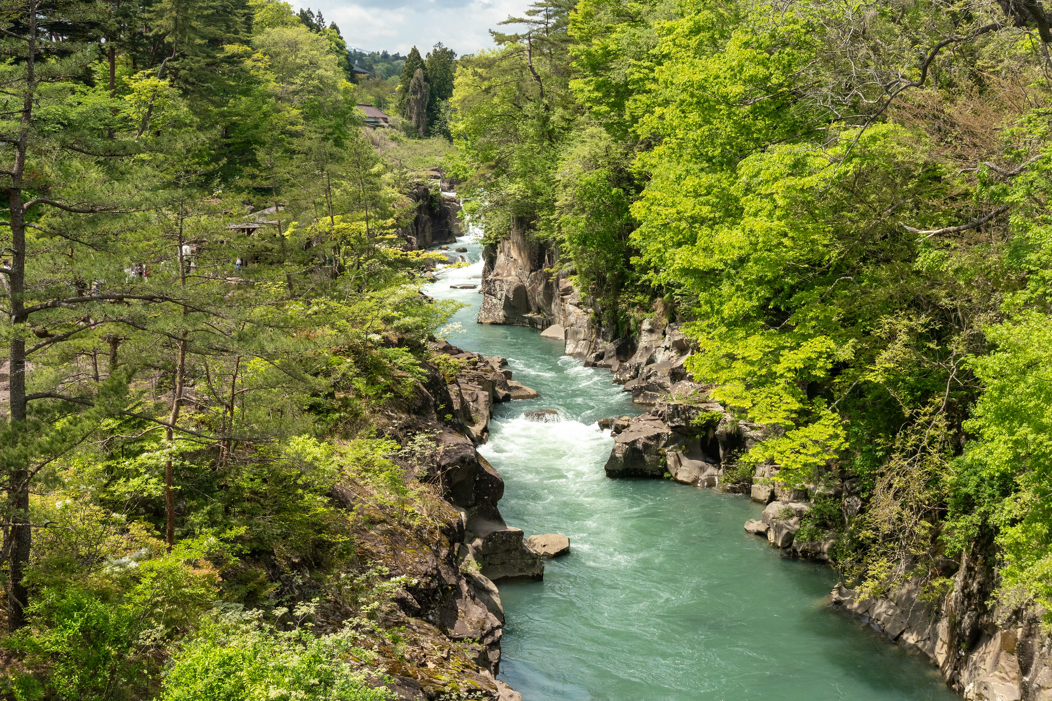 The Scenic Gorge