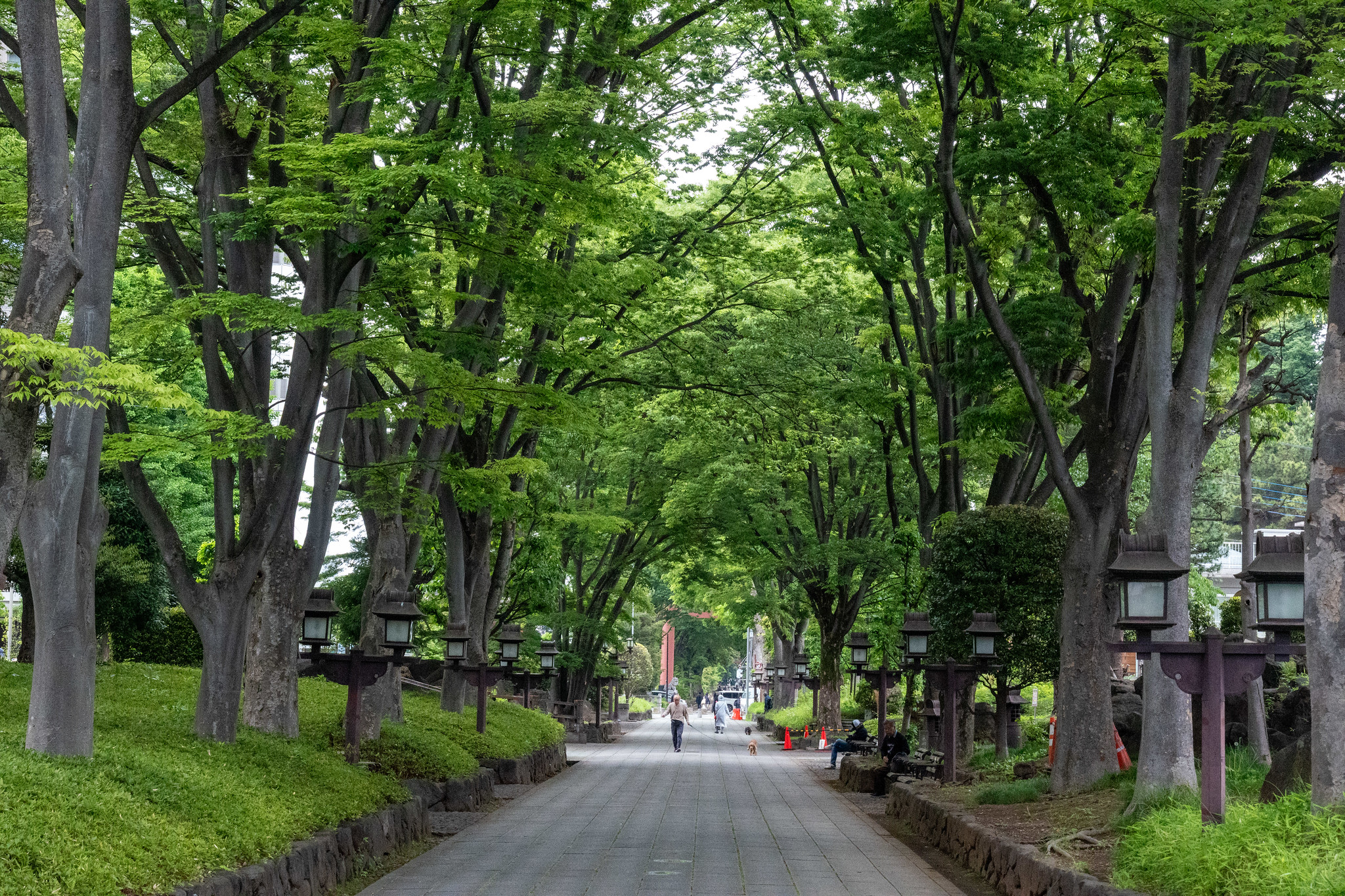 Greenery in Omiya